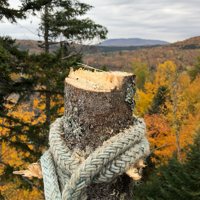 Arbo Mercier - Service d'entretiens d'arbres à Québec